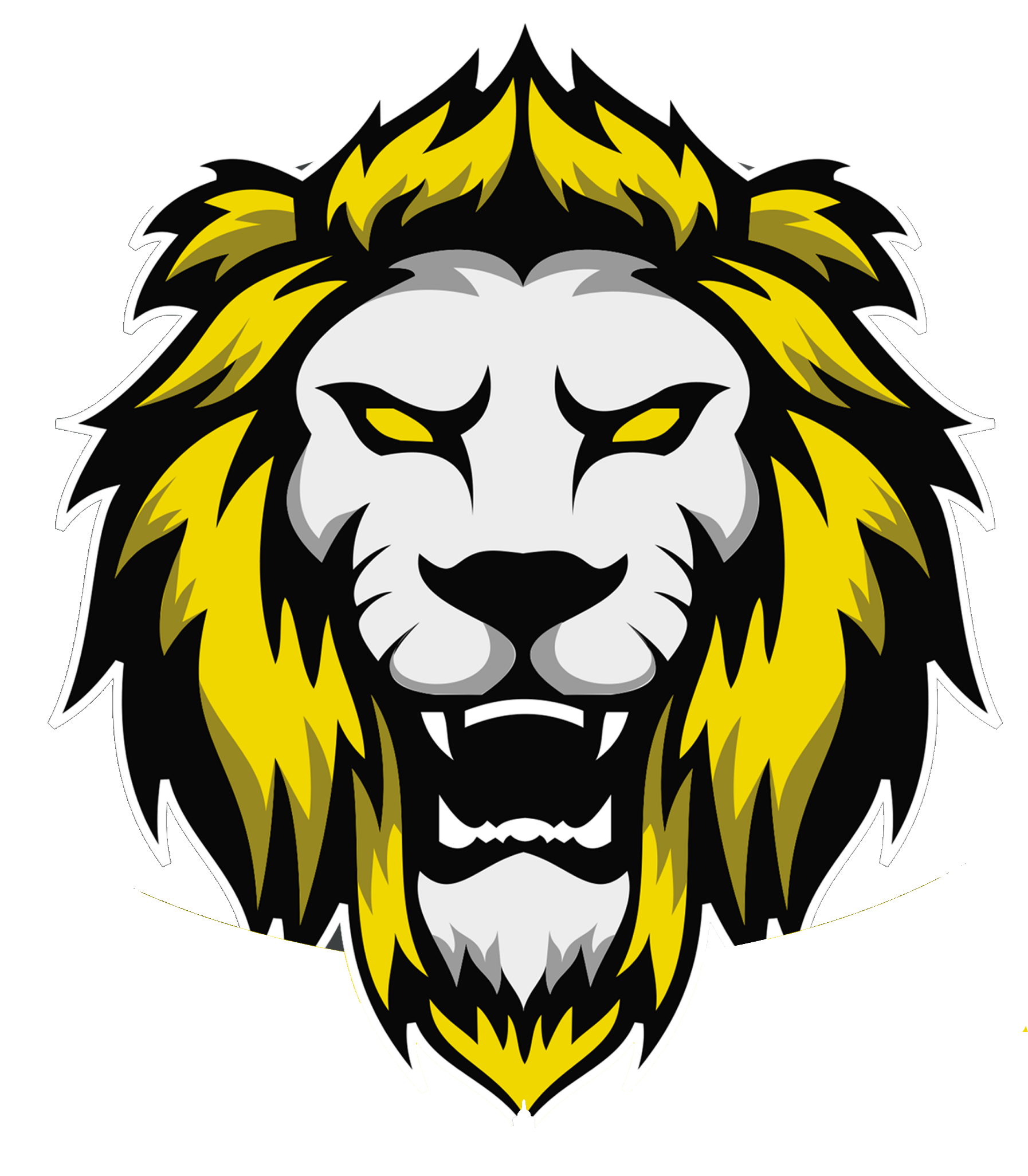 Featured image: The Rise of Anfa Esports: Our Journey and Vision